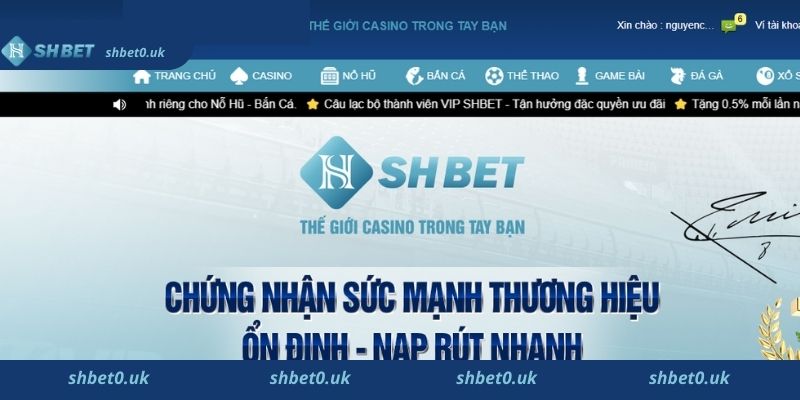 Cá cược bóng đá chỉ có tại Shbet